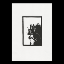 Load image into Gallery viewer, Angry Squirrel
