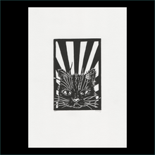 Load image into Gallery viewer, Black Cat