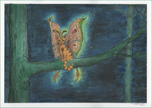 Load image into Gallery viewer, MothCat