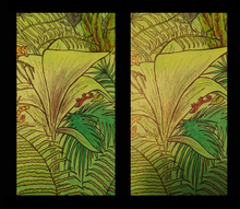 Load image into Gallery viewer, Jungle