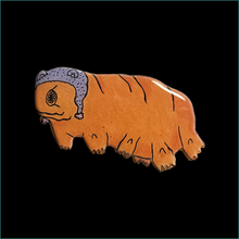 Load image into Gallery viewer, Water bear with hat
